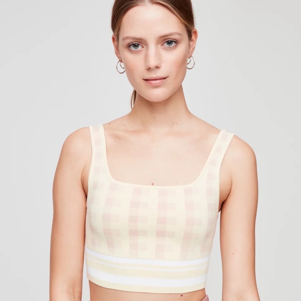 Aritzia Babaton Arjun knit tank top